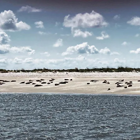 Himmelsicht * Westerdeichstrich