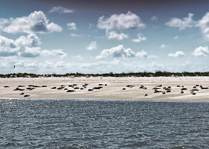 Himmelsicht * Westerdeichstrich